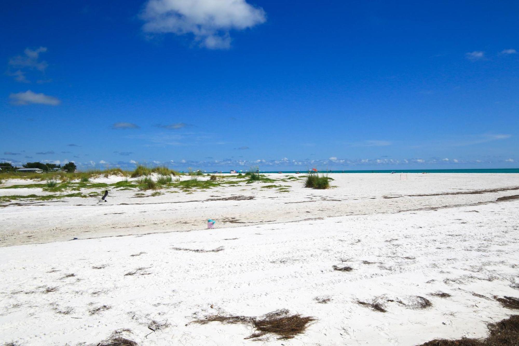 Anna Maria Island Runaway Tropical Dream-One Minute Walk To The Beach-Heated Pool Bradenton Beach Exterior photo