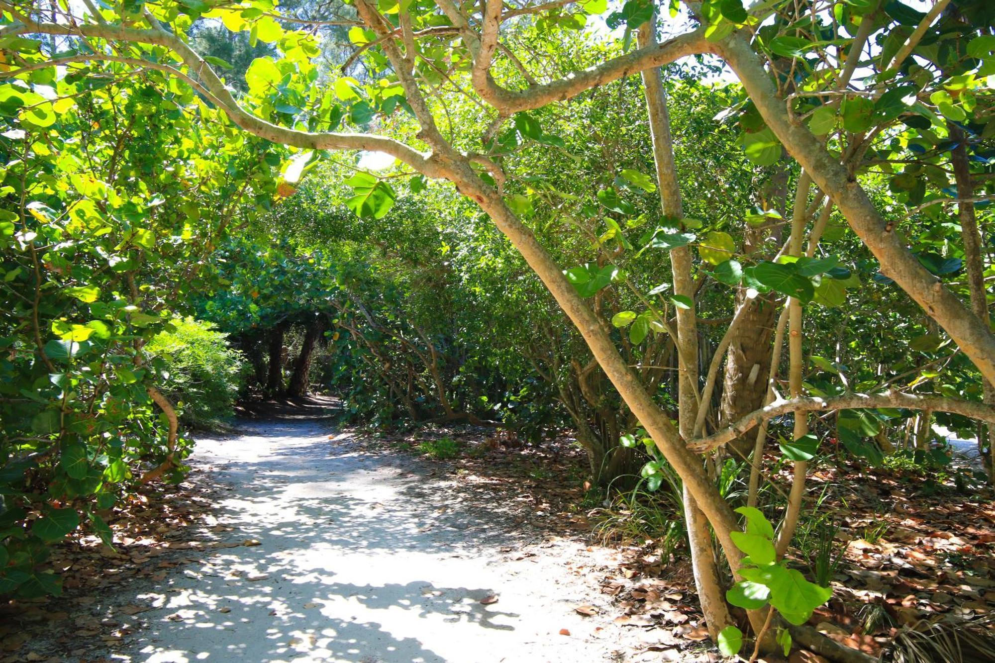 Anna Maria Island Runaway Tropical Dream-One Minute Walk To The Beach-Heated Pool Bradenton Beach Exterior photo